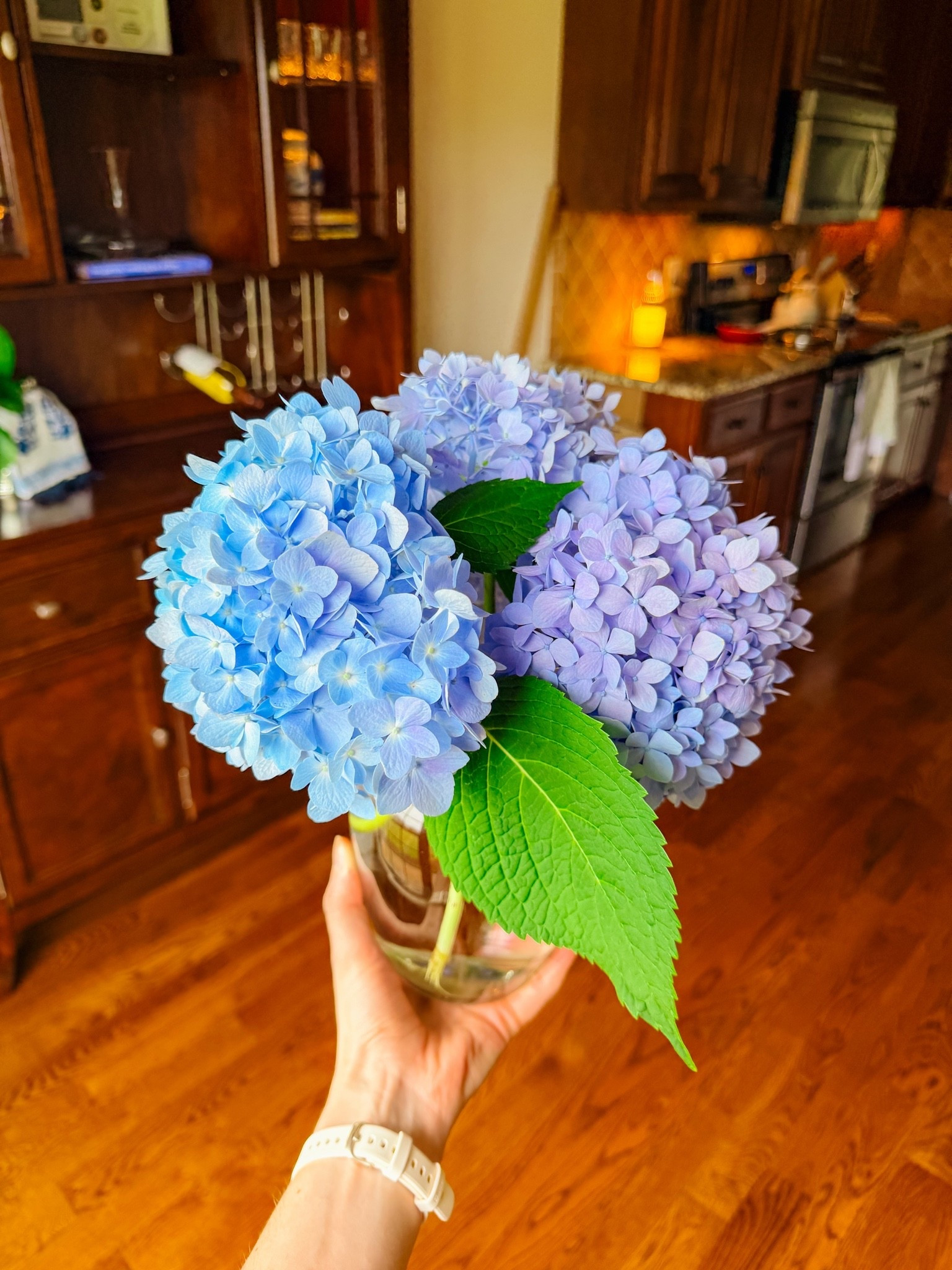Our incredible neighbor shared some STUNNING hydrangeas with us this week! If I didn’t see her pluck them from the garden herself, I’d think they were fake. They are so perfect - I can only dream that my little plants can be half as gorgeous as these!! 🪻🩵

#LTKHome