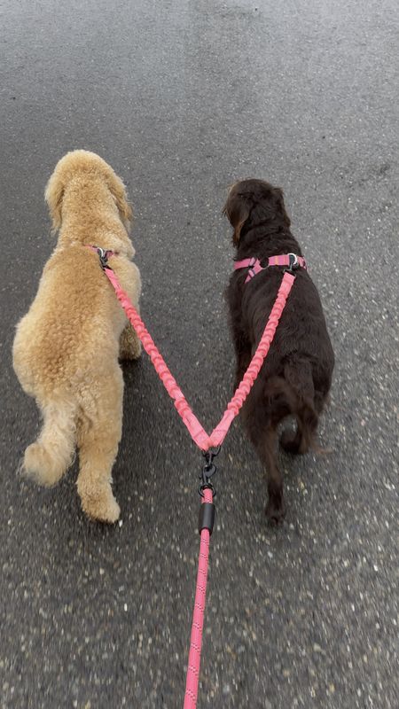 A perfect double dog leash option. We love it!! 

#LTKfindsunder50 #LTKfamily