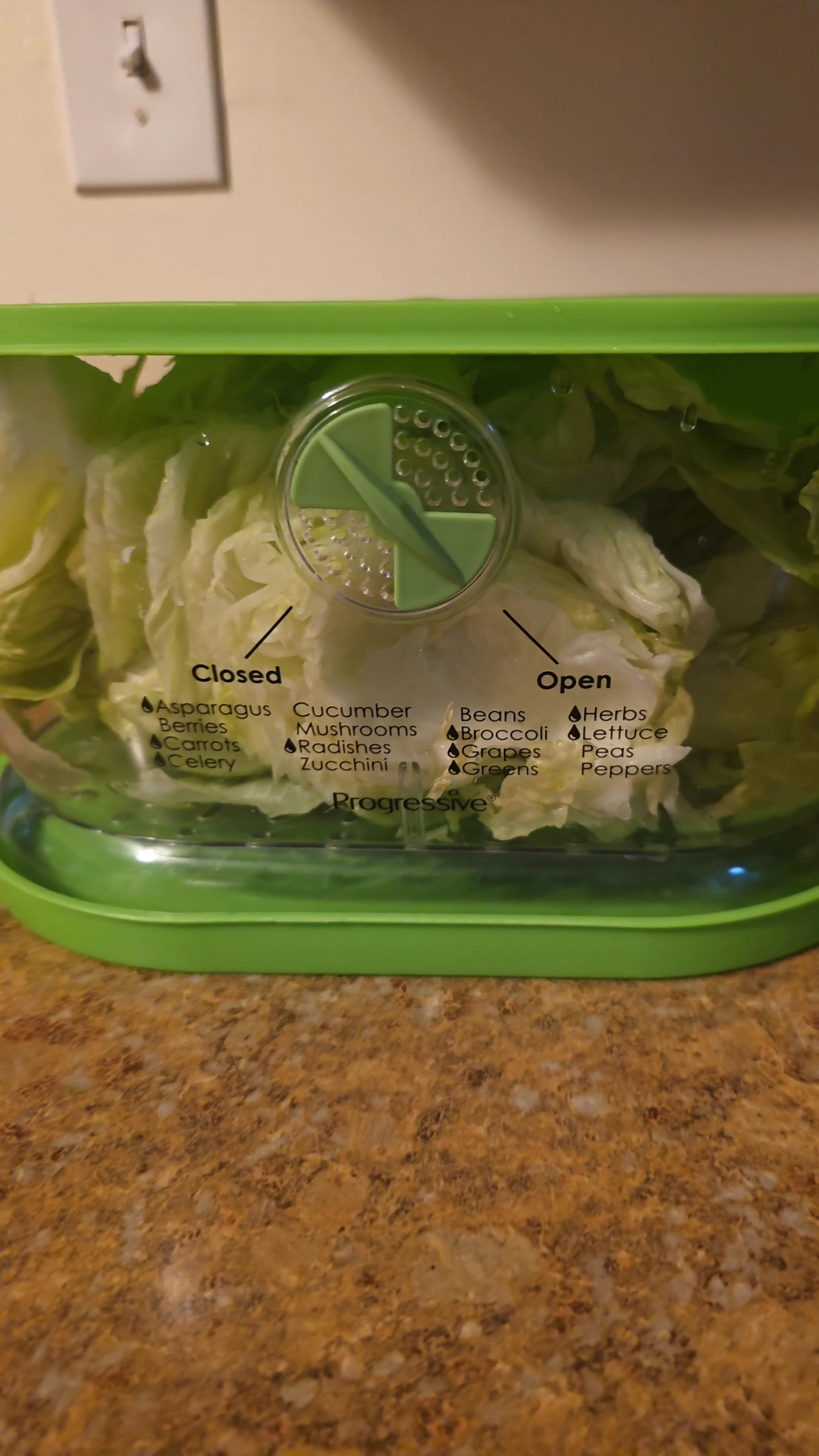 Store your produce the smart way!I've had this lettuce keeper for years, and it works overtime in my house. Big enough for an entire head of lettuce, I also love using it to keep my carrots and celery fresher longer.It comes with a divider, so you can store more than one vegetable at a time. The handy guide on the front gives you peace of mind - the vent is foolproof!Meal prep, produce, storage, food containers, food storage, produce containers, lettuce keeper, salad keeper, kitchen gadgets, kitchen storage, healthy eating

#LTKHome #LTKFindsUnder50 #LTKfoodie