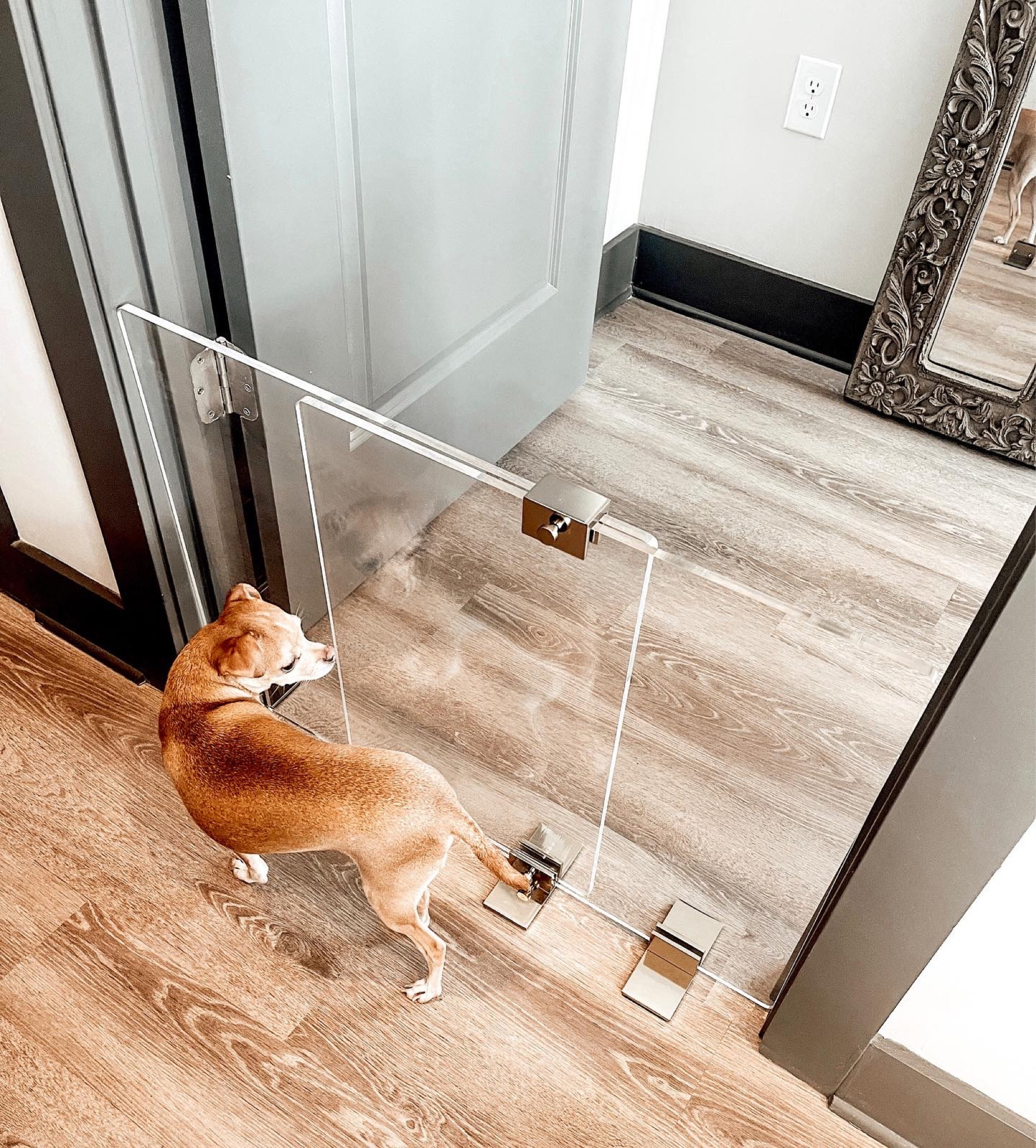 Clear Pet Gates. Dog room gates. Clear room dividers for pet parents.  #cb2   

#LTKhome #LTKstyletip #LTKFind