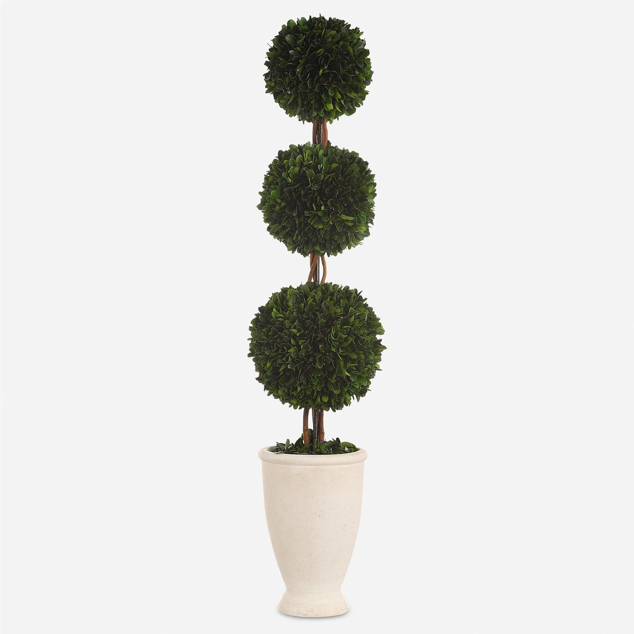Uttermost Boxwood Topiary Plant in Terracotta Planter | Perigold | Perigold