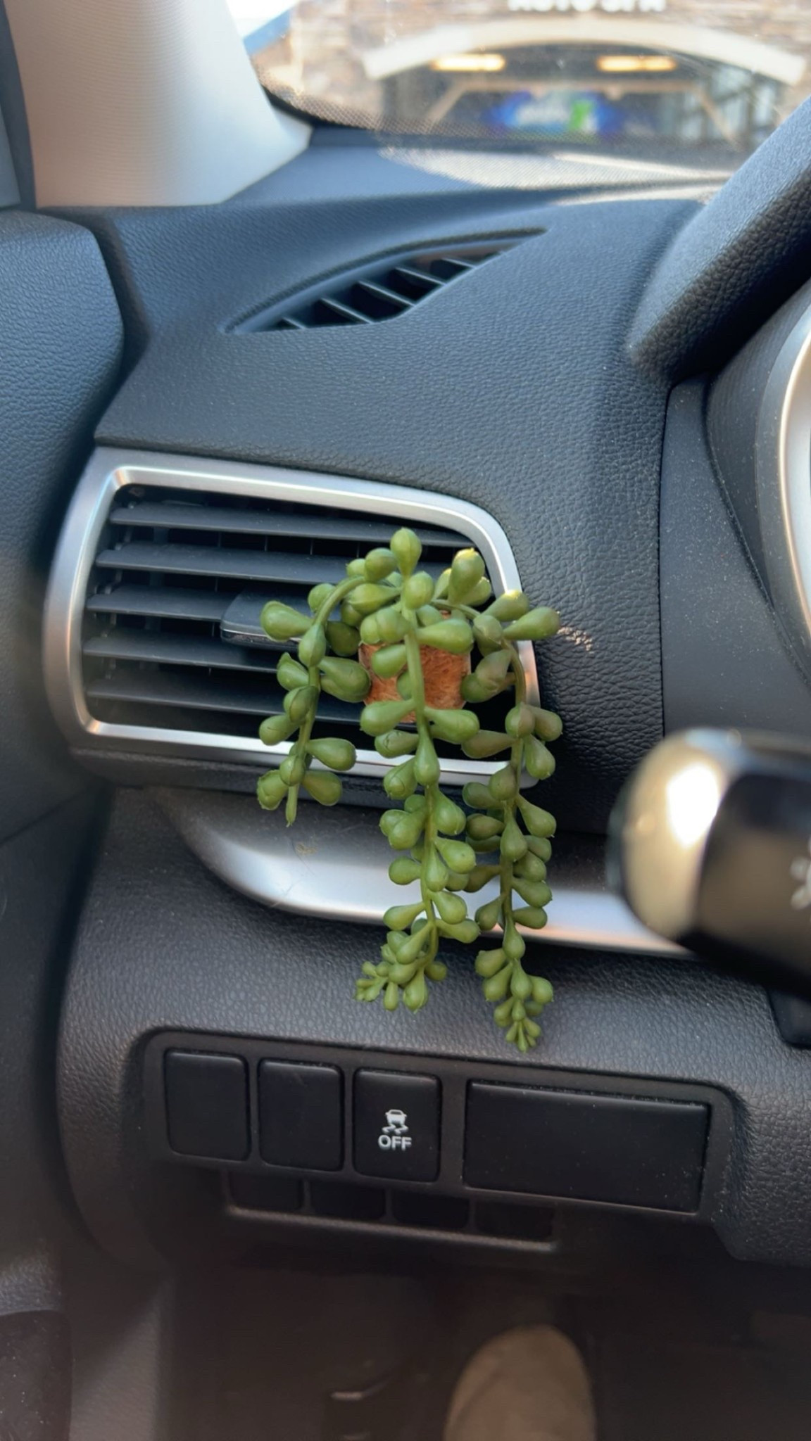 This is so cute and non-toxic fragrance for your car! Obsessed. 



#LTKHome #LTKSpringSale #LTKFindsUnder50