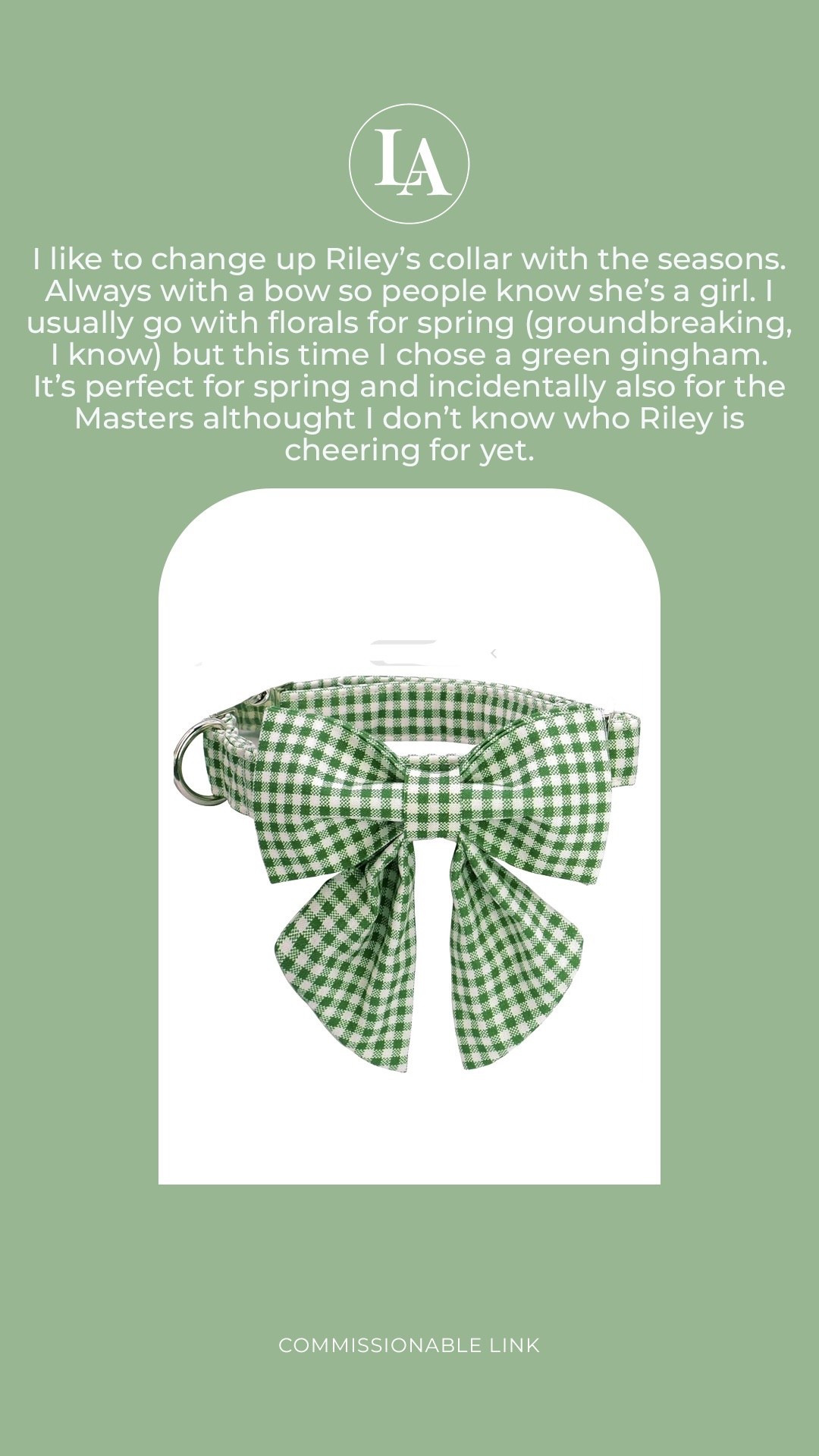 Dog collar with bow 