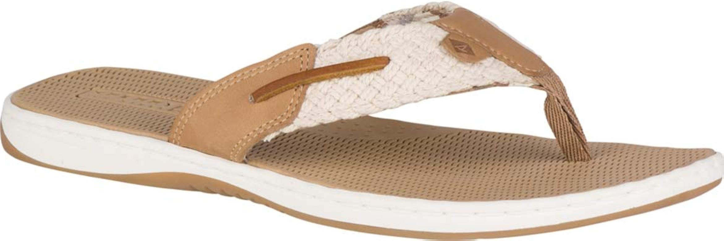 Top-Sider Women's Parrotfish Flip Flop | Amazon (US)