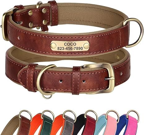 Didog Leather Dog Collar Personalized for Small Medium Large Dogs, Soft Padded Leather Dog Collar... | Amazon (US)
