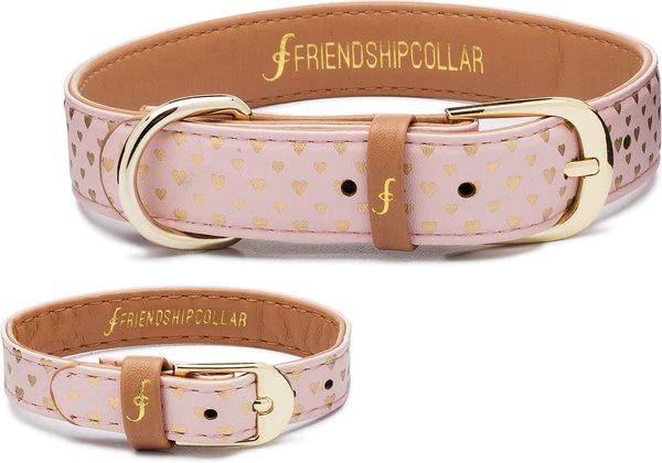 FRIENDSHIPCOLLAR Puppy Love Leather Dog Collar with Friendship Bracelet, Large: 17 to 20-in neck,... | Chewy.com