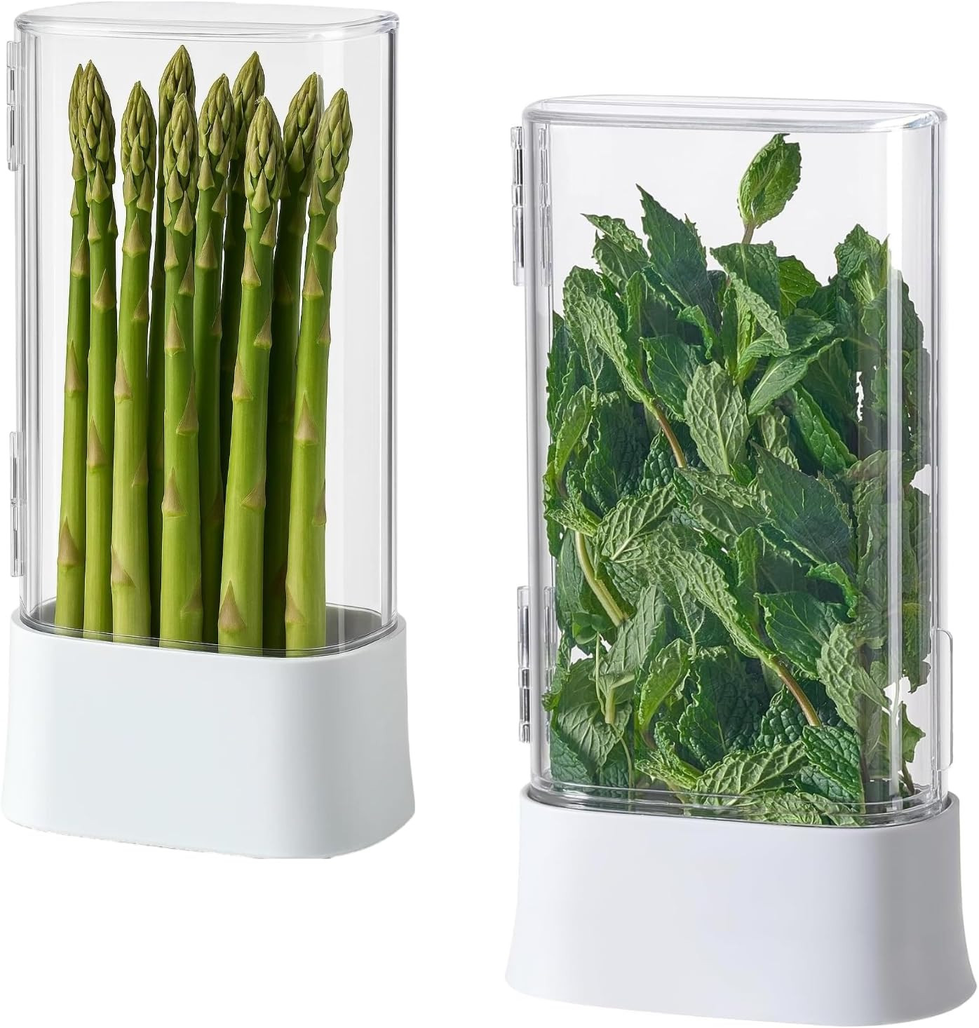 vacane Green Saver Herb Keeper – Refrigerator Storage Container for Cilantro, Asparagus, Fresh ... | Amazon (US)