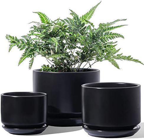 LE TAUCI Ceramic Plant Pots, 4+5+6 inch, Set of 3, Planters with Drainage Hole and Saucer, Indoor... | Amazon (US)