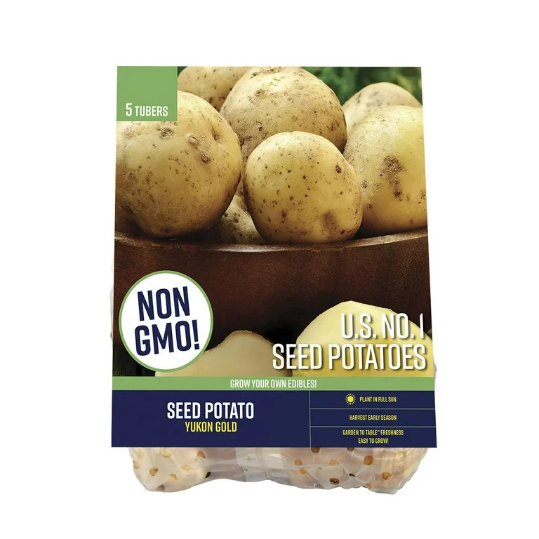 Van Zyverden Seed Potato Yukon Gold (Set of 5 Dormant Tubers) GMO Free, Full Sun, Yellow, Annual ... | Walmart (US)