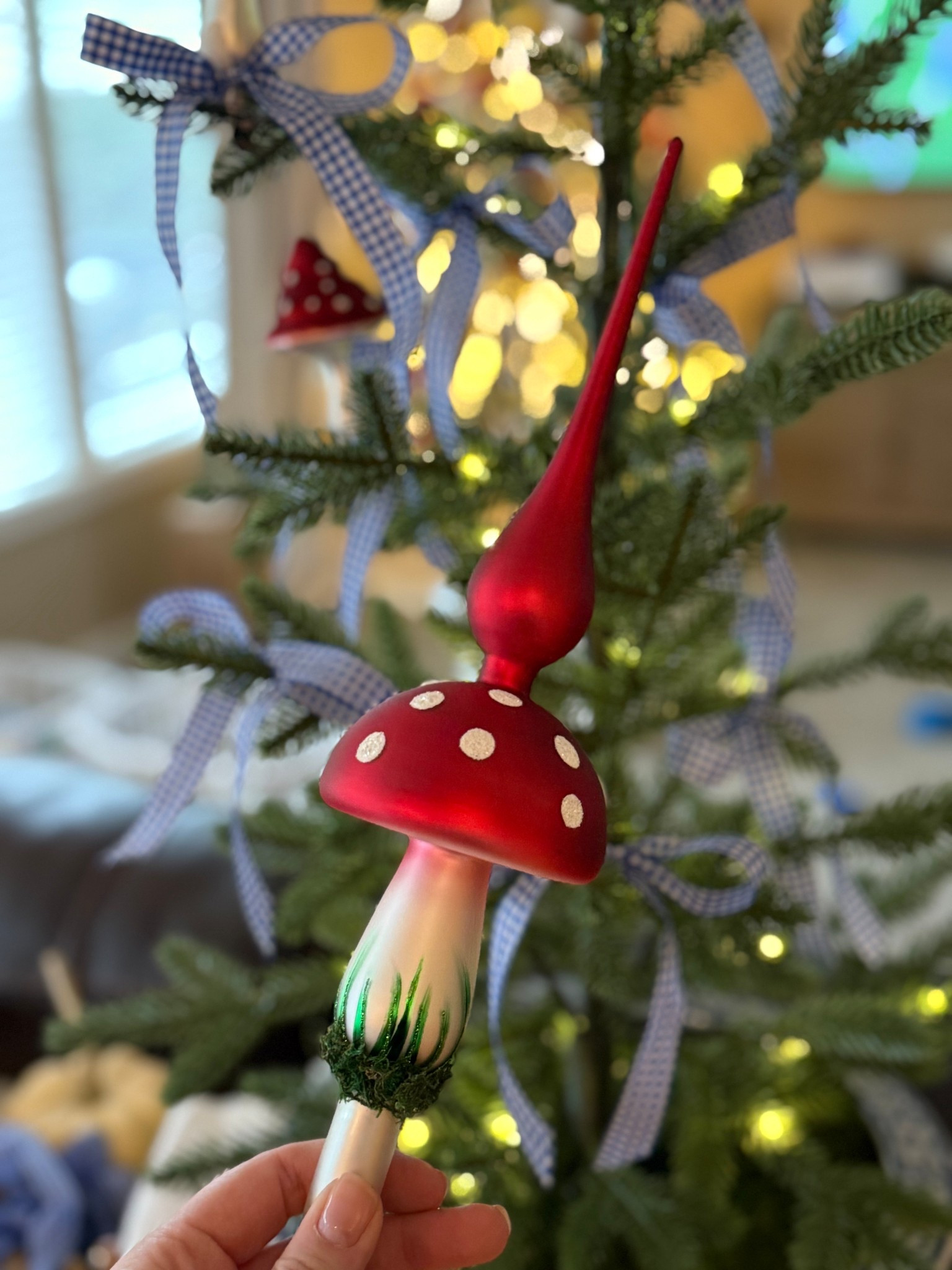 Forever my favorite tree topper 🍄 
It puts the fun in fungi 

#mushroomchristmas 

#LTKCyberWeek #LTKSeasonal #LTKHoliday