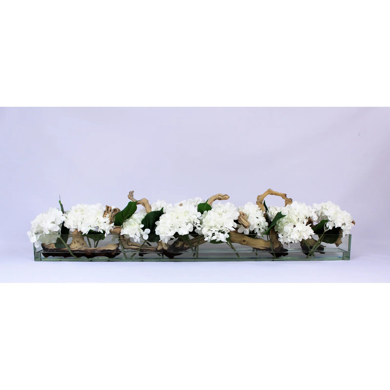 CFA Design Group Casa Moderna Glass Plate Orchids Floral Arrangement in Planter & Reviews | Wayfa... | Wayfair North America