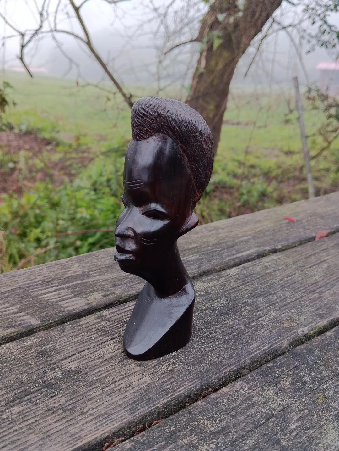 Carved Ebony Wood Sculpture Woman Bust. Africa. Carved Ebony Wood Sculpture Woman Bust. Africa. | Etsy (US)