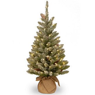 National Tree 3' Snowy Concolor Fir Small Tree in Burlap with Snowy Cones Warm White Battery Oper... | Macy's