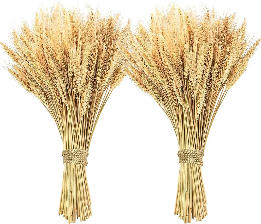 Phliofd 200 Pcs Dried Wheat Stalks, Dried Flowers 100% Natural Wheat for Home Kitchen Office Flow... | Amazon (US)