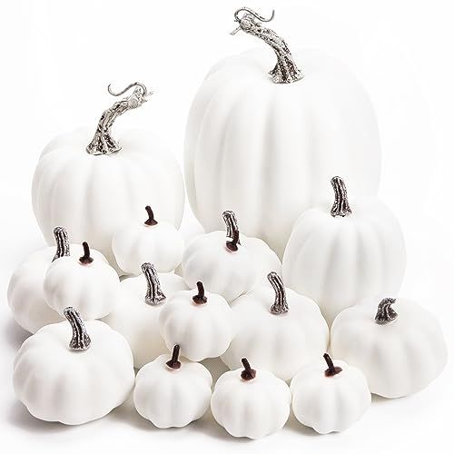 DomeStar 16PCS Artificial White Pumpkins, Assorted Sizes Fake Faux Rustic Harvest Farmhouse Pumpkins for Halloween Thanksgiving Fall Autumn Season Decorations | Amazon (US)