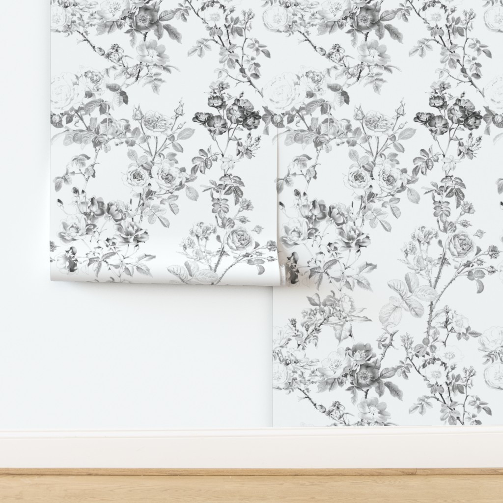 English Rose Watercolor Black and White Wallpaper | Spoonflower | Spoonflower