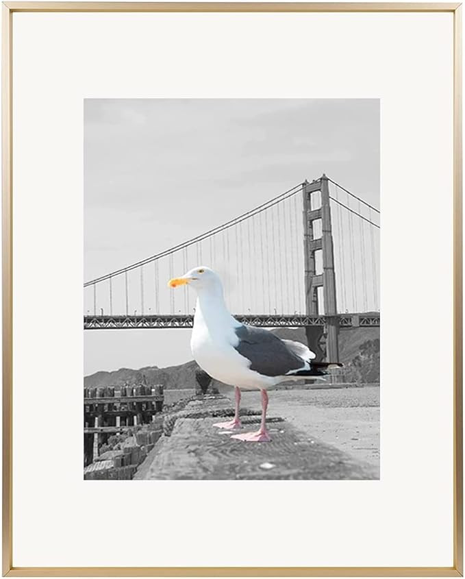 Frametory, 16x20 Aluminum Photo Frame with Ivory Color Mat for 11x14 Picture & Real Glass, Metal ... | Amazon (US)