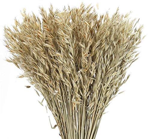 XYXCMOR 100 Stems Dried Wheat Stalks Bundle Fake Wheat Sheaves Bouquet Dried Oats Flowers Dried F... | Amazon (US)