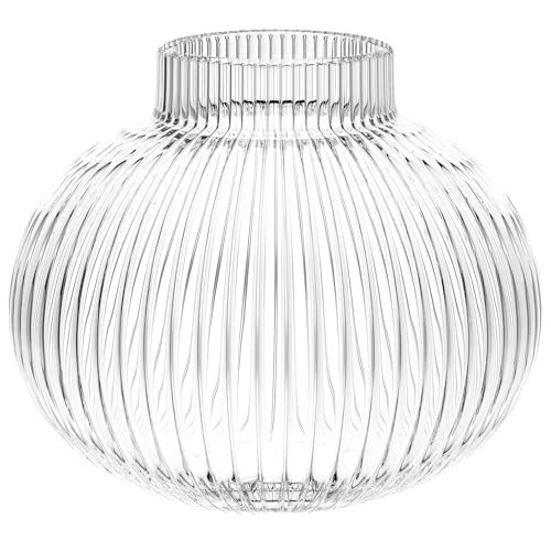 YANWE1 Round Glass Vase, Flower Vases for Bouquet, Ribbed Glass Vases for Flowers, Small Clear Vase for Living Room, Office, Coffee Table, Shelf, Wedding, 6 Inches | Amazon (US)
