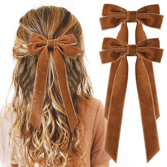 2PCS Velvet Hair Bows Brown Hair Ribbon Clips Big Fall Alligator Clips Hair Accessories for Women... | Amazon (US)