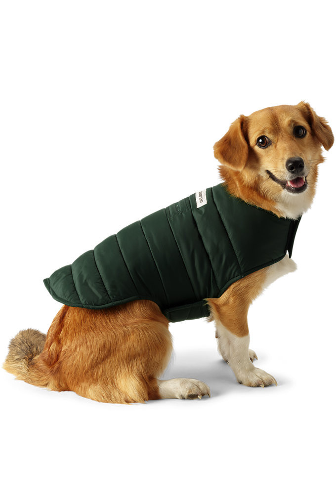 Dog Coat Wanderweight Jacket - Lands' End - Green - XS | Lands' End (US)