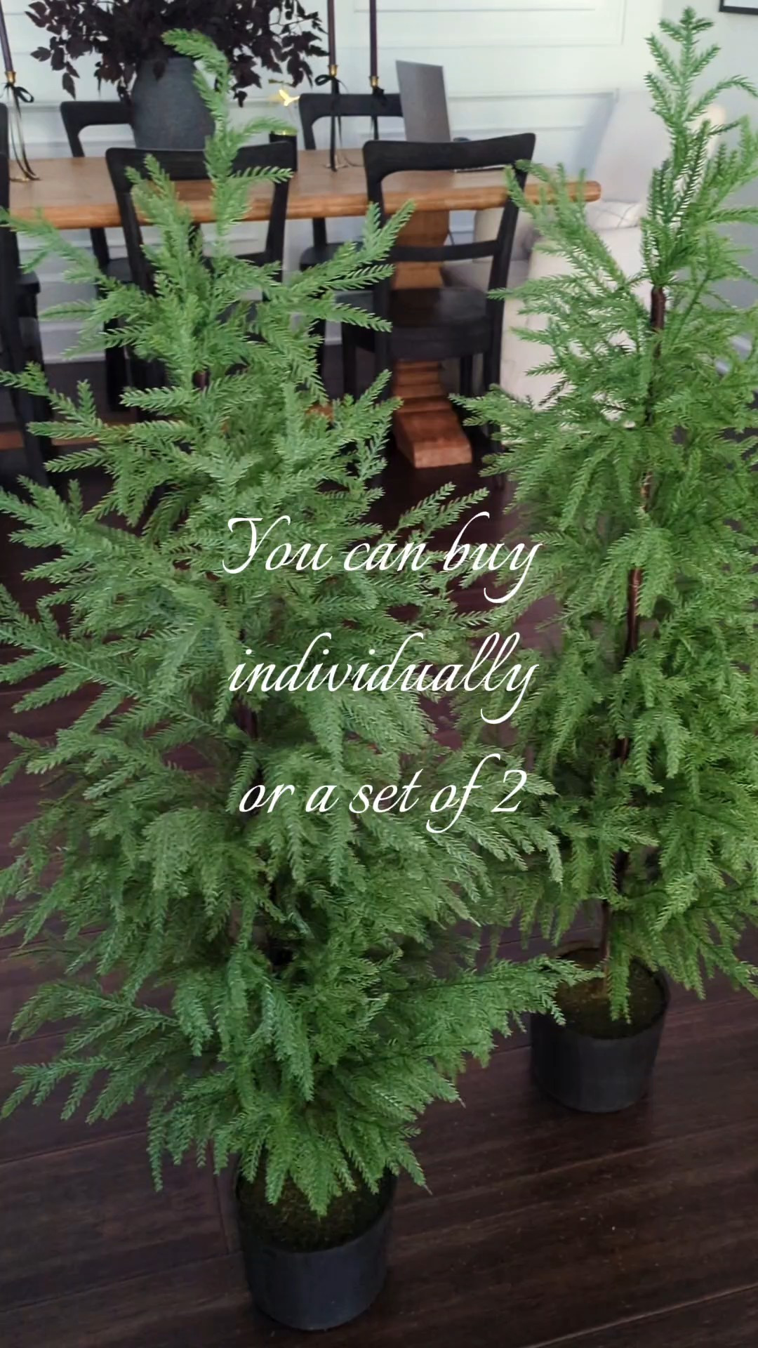 Super realistic 4 ft potted Norfolk trees. You can buy 1 or a set of 2! These will go great on my Christmas front porch with my Norfolk Wreaths and Norfolk garlands!! #Christmas #LTKfind

#LTKHoliday #LTKSeasonal #LTKHome