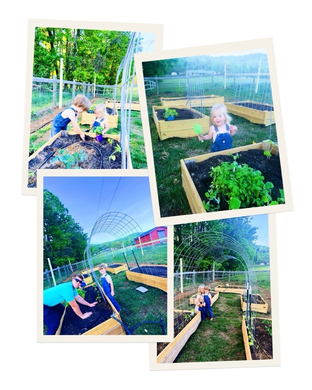 l i f e  l a t e l y 🪴🪏👩‍🌾🧺🚜💐⚾️👶🏼🦷🪥🐓🌱🧢🏡🌳🌸🪻🏟️🐥🌅 #cameraroll #ᴘʜᴏᴛᴏᴅᴜᴍᴘ #lifeonthefarm #myfavoritetimeoftheyear 

#LTKHome #LTKKids