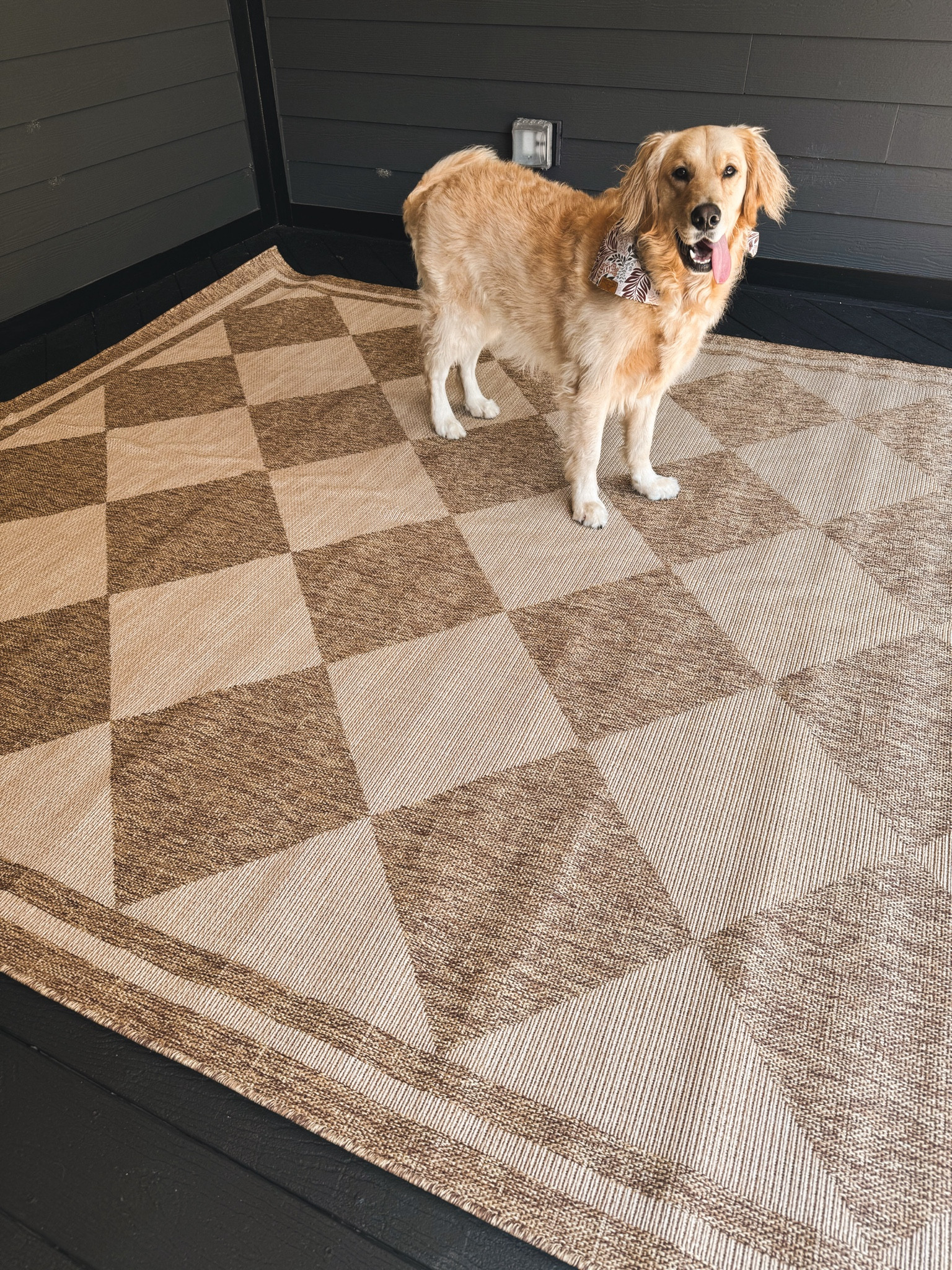 The back deck rug we chose🤩🤎 it’ll go PERFECTLY out here once we get the ceilings done! I wanted to pull the wood tones down against the black & it’s truly everything! So warm & pretty! This is the 8x10 — indoor / outdoor rug from @wayfair✨ #wayfairpartner #wayfair 

Home decor / exterior design / wayfair finds / checker print / neutrals / checker print / Holley Gabrielle 

#LTKSeasonal #LTKStyleTip #LTKHome