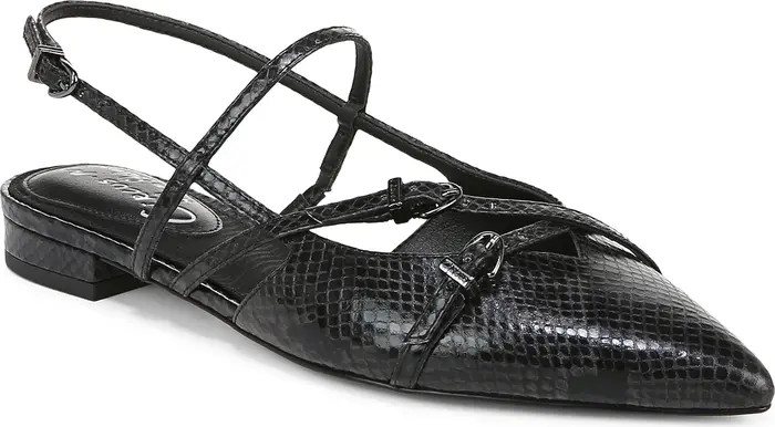 Lindley Pointed Toe Slingback Sandal (Women) | Nordstrom