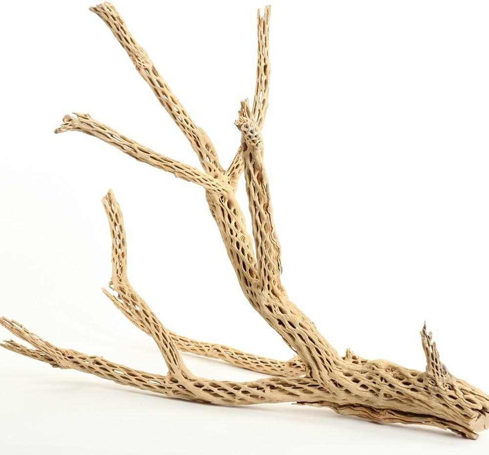 Koyal Wholesale 24" Cholla Wood Aquarium Leopard Gecko Tank Accessories Untreated Large Driftwood... | Amazon (US)