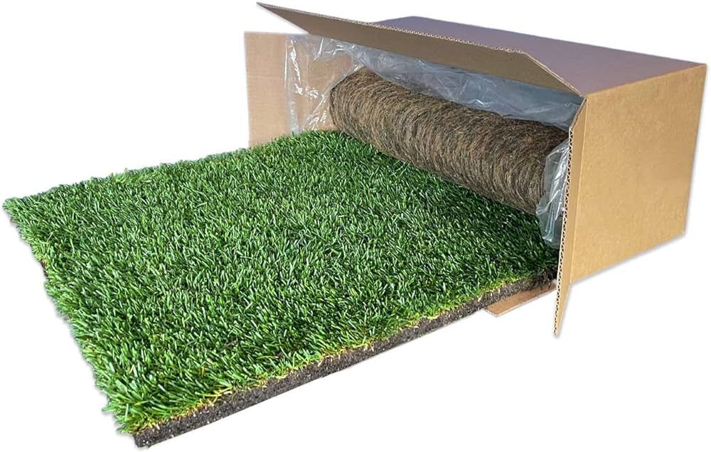DoggieLawn Dog Potty - Real Grass - XLarge 24x48 inches | Amazon (US)