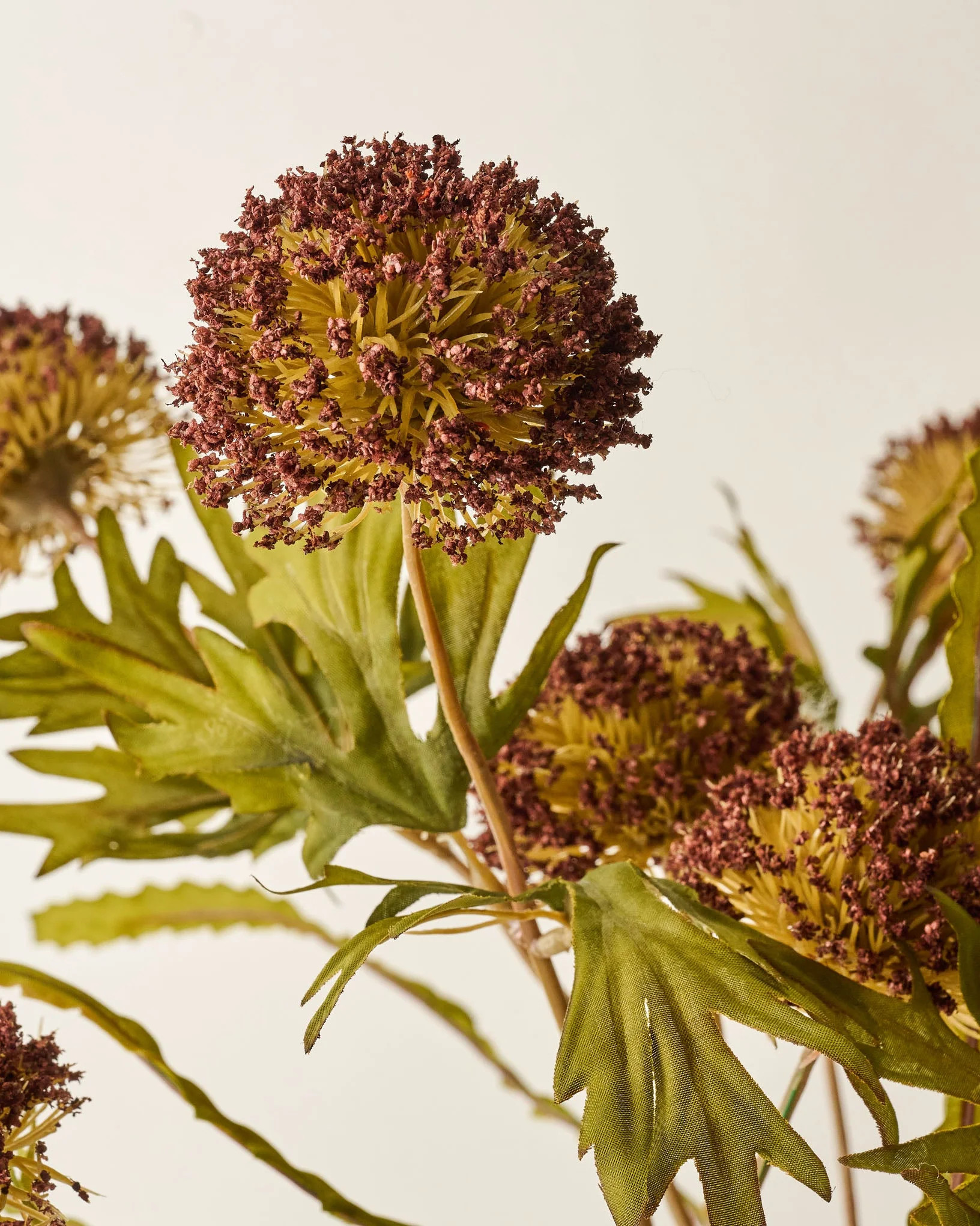 Large Thistle Bush | Magnolia