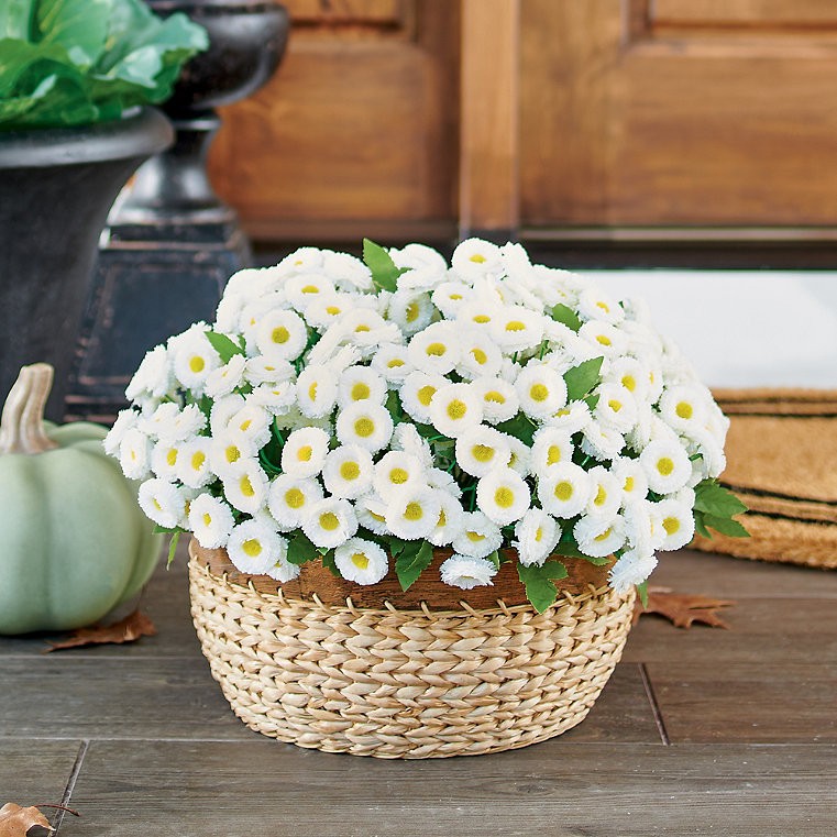 25% OFF SITEWIDE Use Code: LOVEGR23  EXCLUSIONS APPLY | Grandin Road