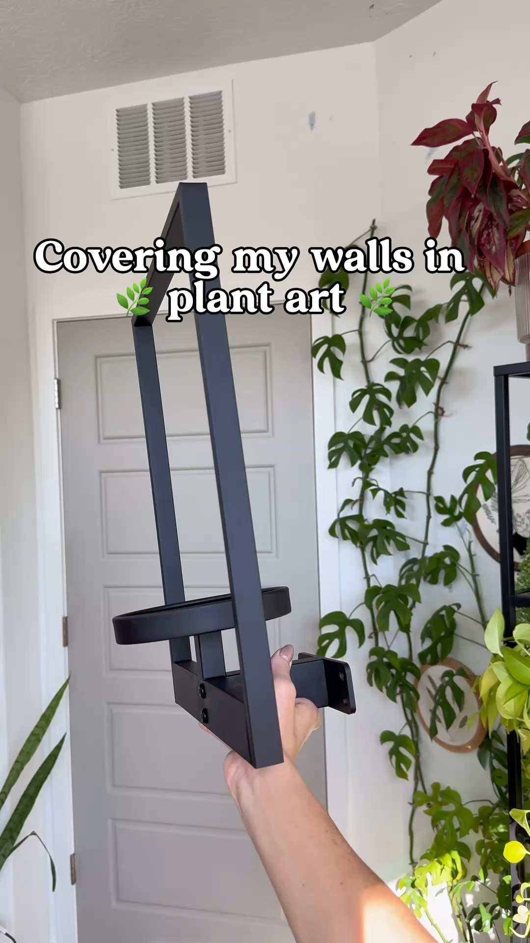 Wall Plant Shelf 

#LTKHome