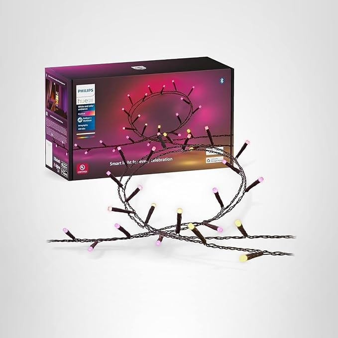 Philips Hue Indoor/Outdoor 65-Foot Festavia String Lights - 250 Mini Color Changing Smart LEDs - ... | Amazon (US)