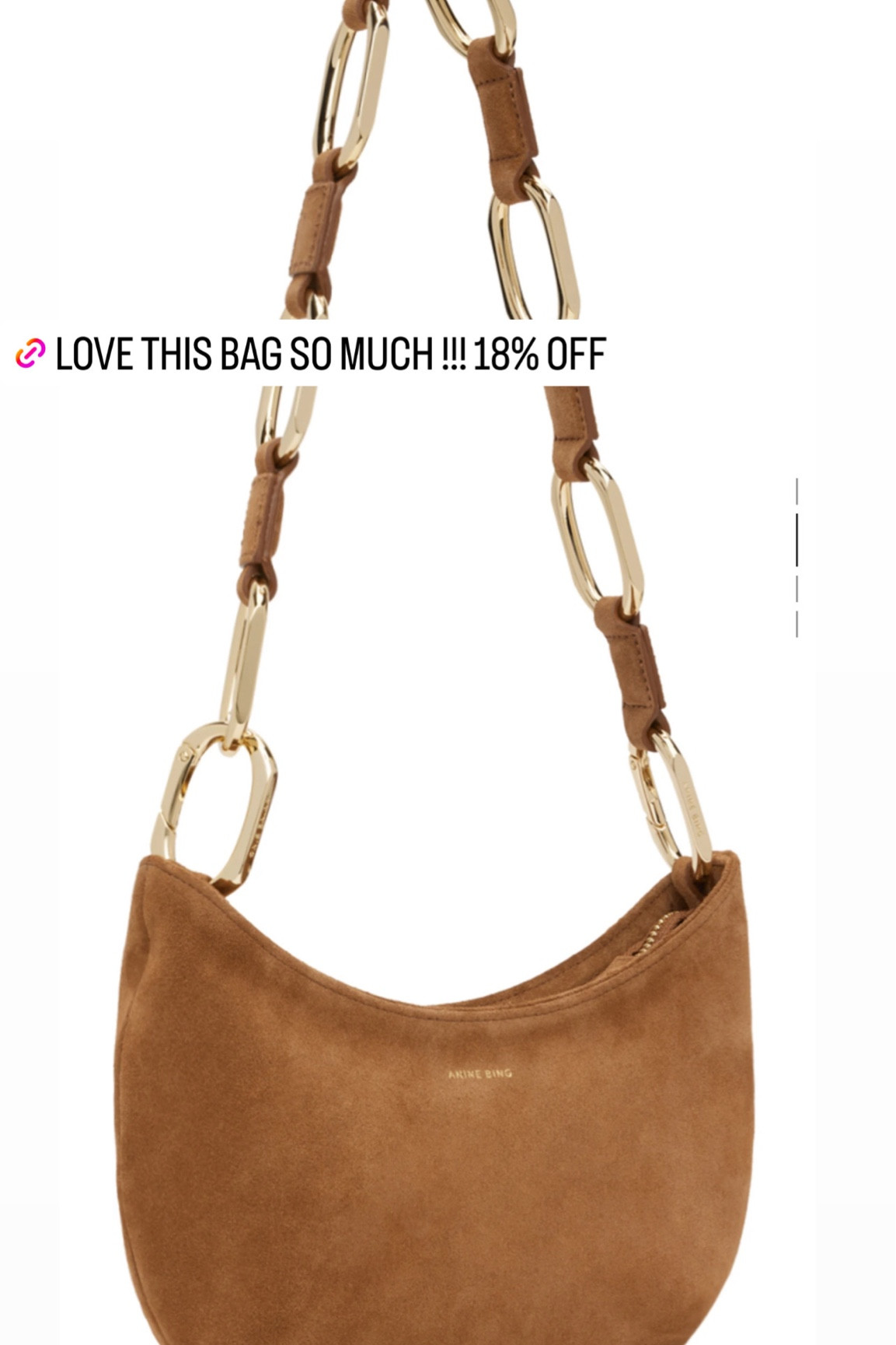 Amazing Anine bing bag! 

#LTKstyletip #LTKsalealert #LTKSeasonal