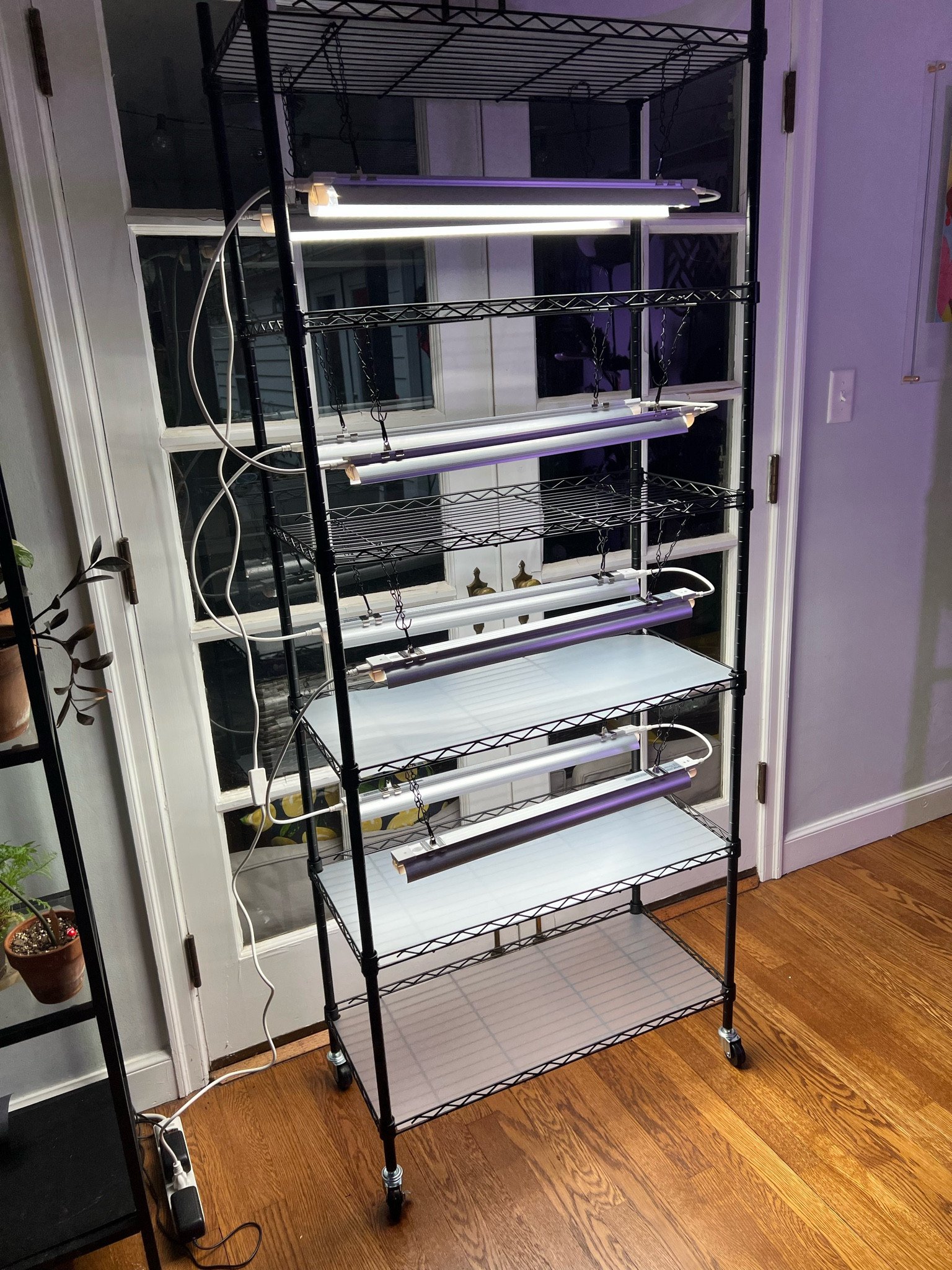 Plant stand with grow lights! Start seeds or grow houseplants on this stand!

#LTKGiftGuide #LTKHome #LTKHoliday