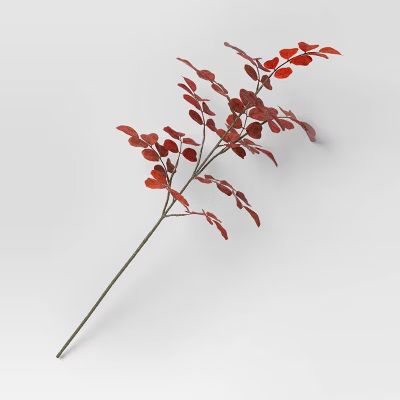 Red Leaf Stem - Threshold™ | Target