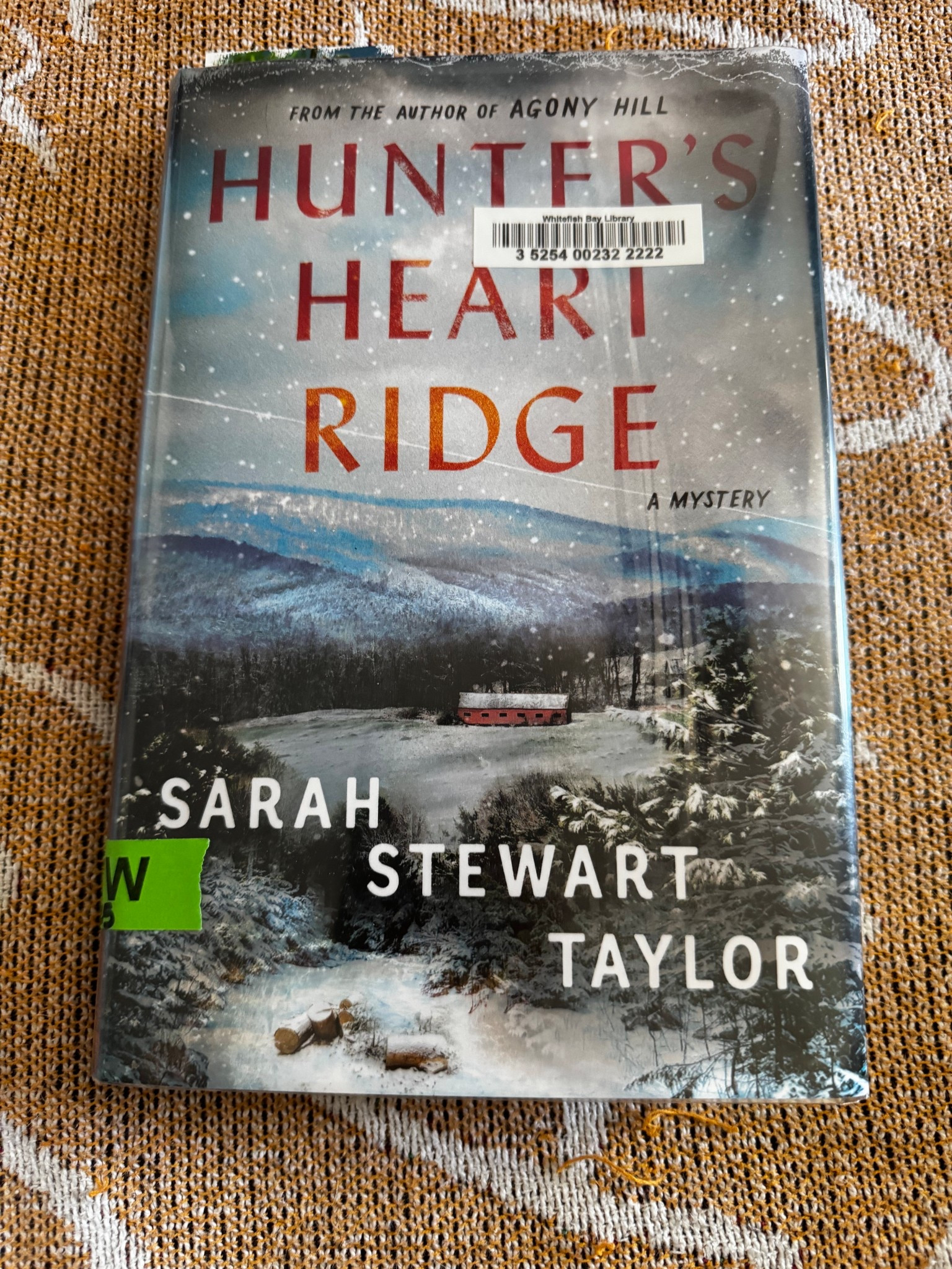 Started to work on my physical TBR but the library had other plans! This book, the second in Sarah Stewart Taylor’s Frank Warren and Alice Bellows Mysteries, came out in August. I was not anticipating coming up on the wait list at the library so soon! Support your local libraries and bookstores! 

#LTKFindsUnder50