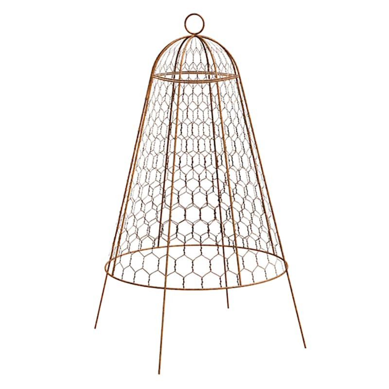 Black Cloche Plant Protector, 20x14 | At Home