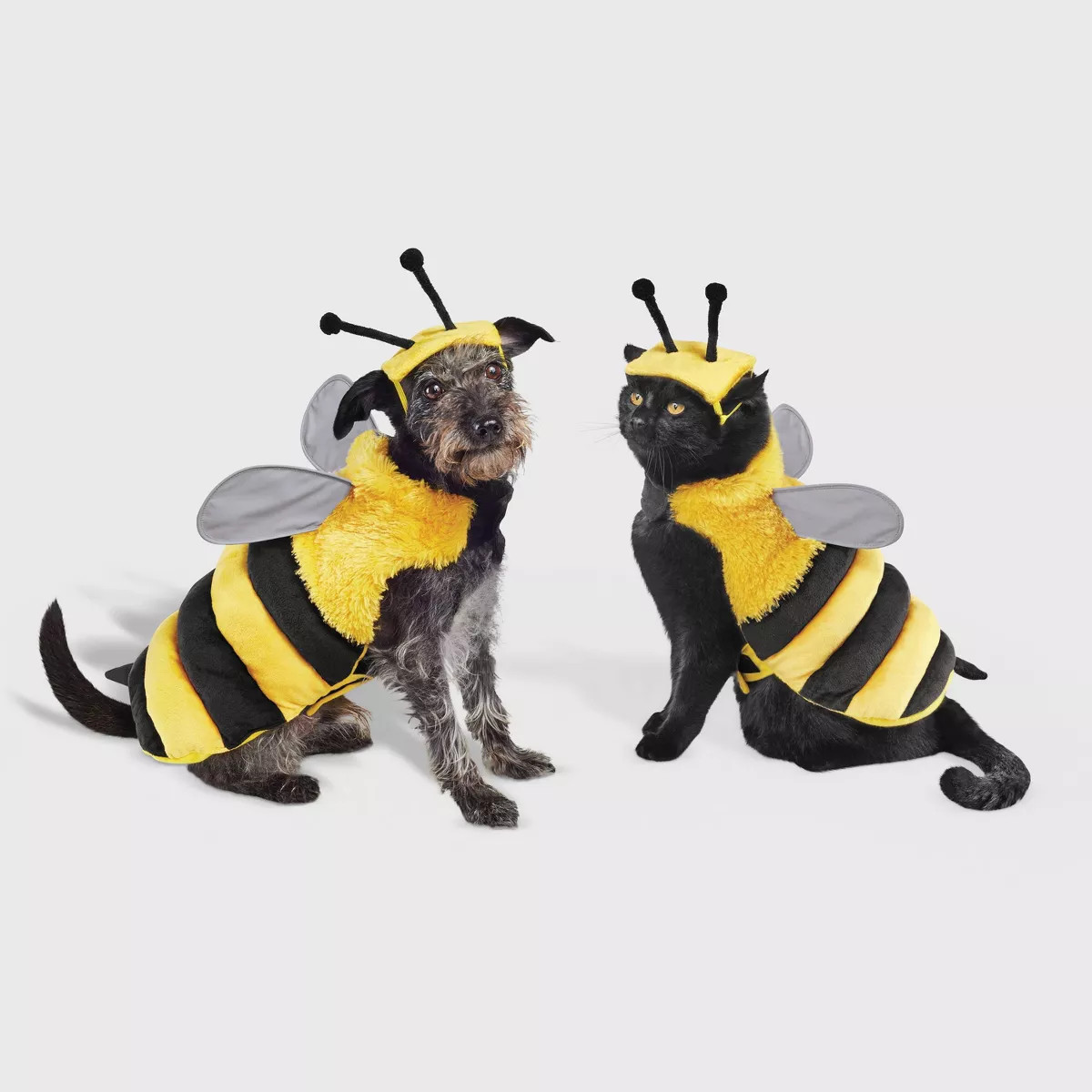 Bee with Reflective Wings Full Body Halloween Dog and Cat Costume - Boots & Barkley™ | Target