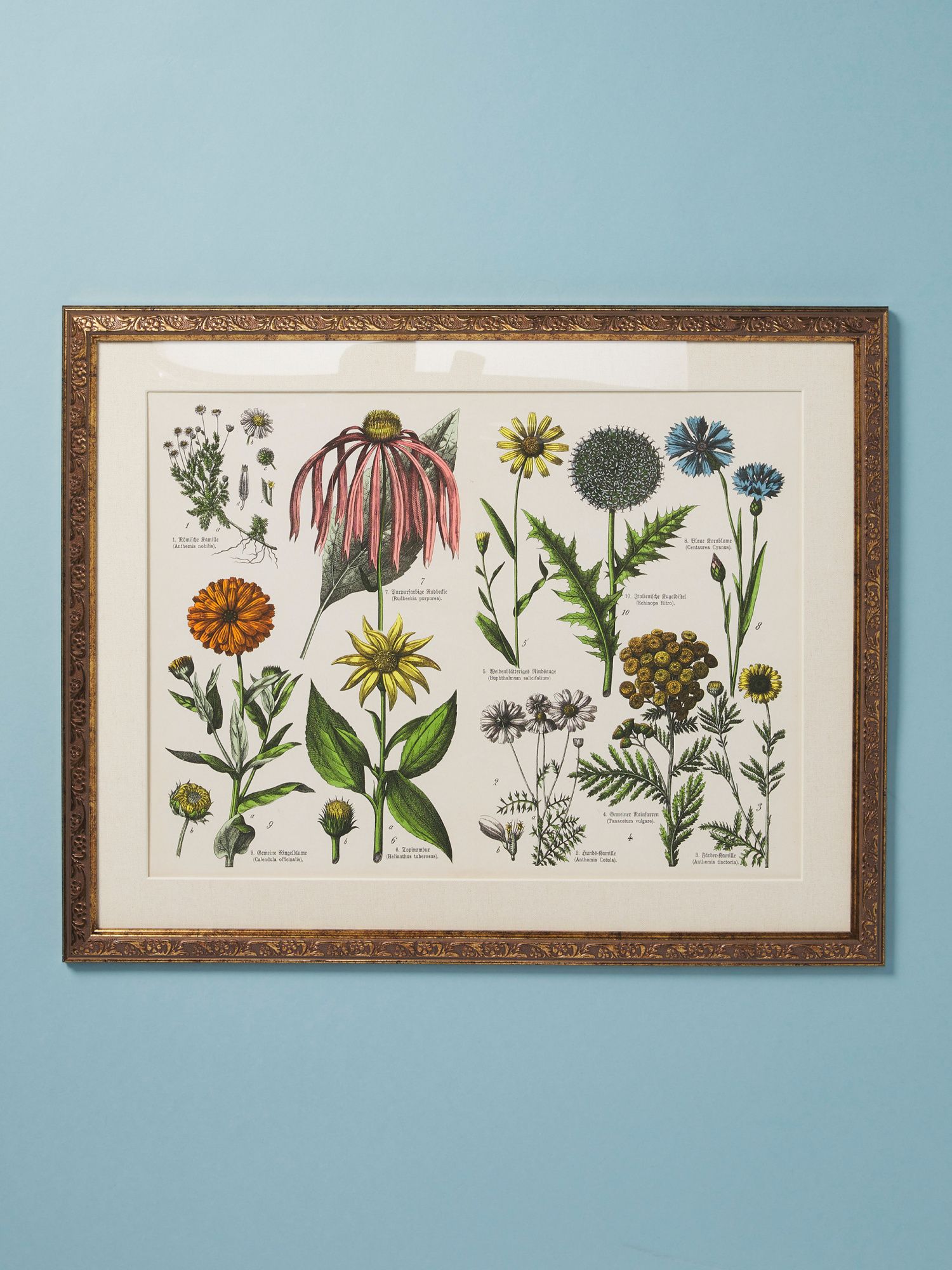 16x20 Sunflower Florals Wall Art In Frame | HomeGoods
