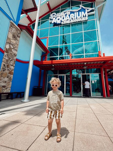 Britton’s outfit from today on sale - all from Rylee & Cru (top & sunnies) or Zara Kids (shorts & sandals)

*size up a full size for boys in Rylee & Cru 

#LTKsalealert #LTKunder100 #LTKkids