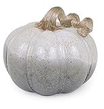 Boston International Decorative Tabletop Glass Pumpkin, 7 x 6-Inches, Twilight Grey | Amazon (US)
