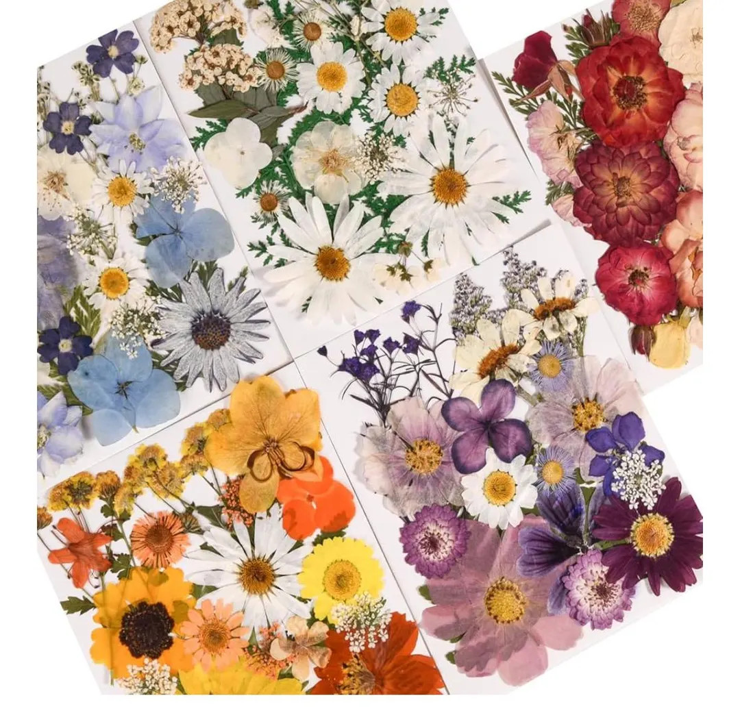 100-150 Pressed Flowers for Resin Art: Dried Daisies, Pansies & Wildflowers - Etsy | Etsy (US)