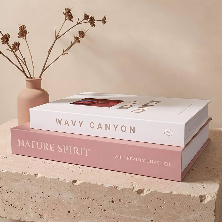MAOBUYOU Elegant Decorative Books - Set of 2 Stylish Fake/FauxBook Boxes for Coffee Table, Booksh... | Amazon (US)