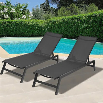 Brionca 2 Piece Lounge Chairs Set | Wayfair North America