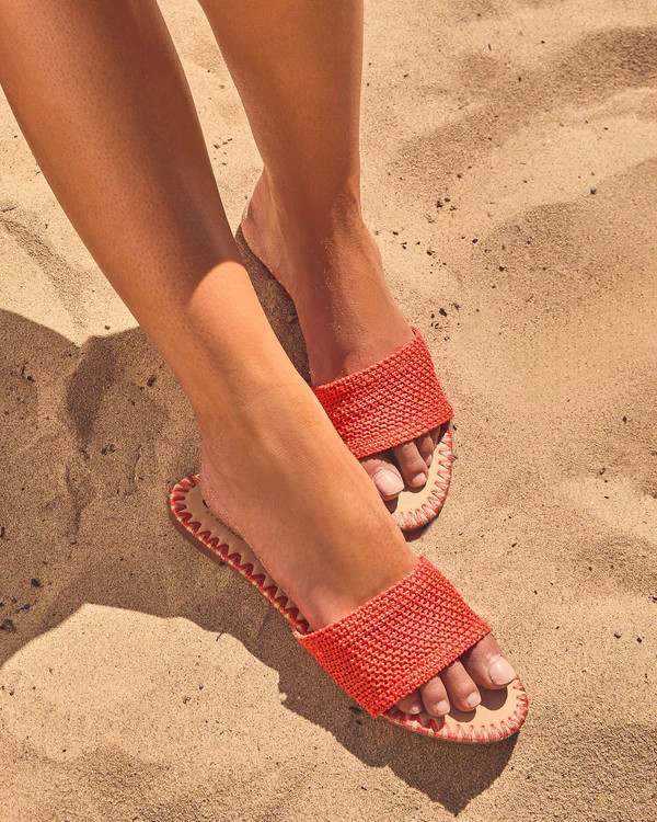 Earth Shine Woven Straw Flat Sandals | VICI