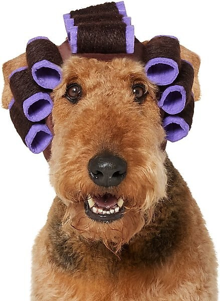 Frisco Beauty Parlor Dog & Cat Costume Accessory | Chewy.com