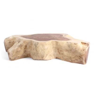Nature Free Form Block Coffee Table | Wayfair North America